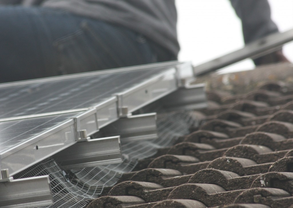 Professionally Installed Mesh and Clips To Protect Solar Panels